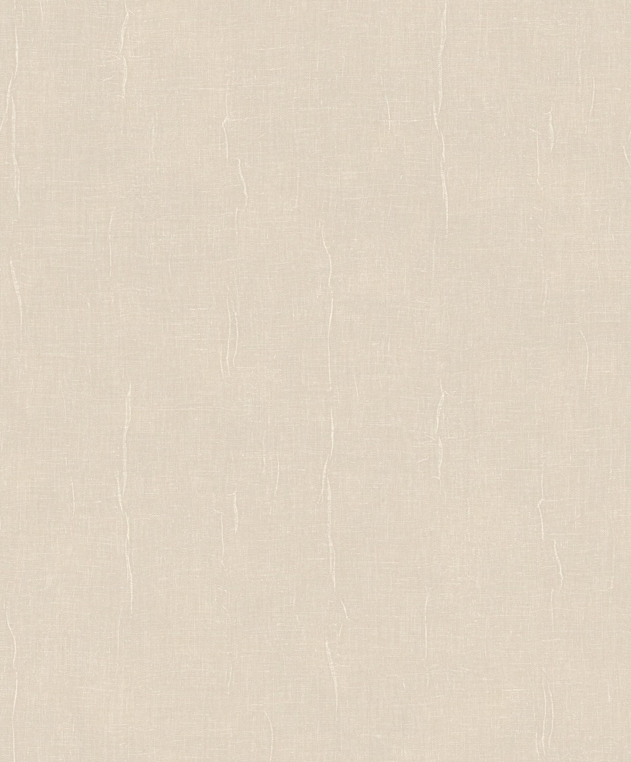 Coquille d’oeuf Coquille d’oeuf