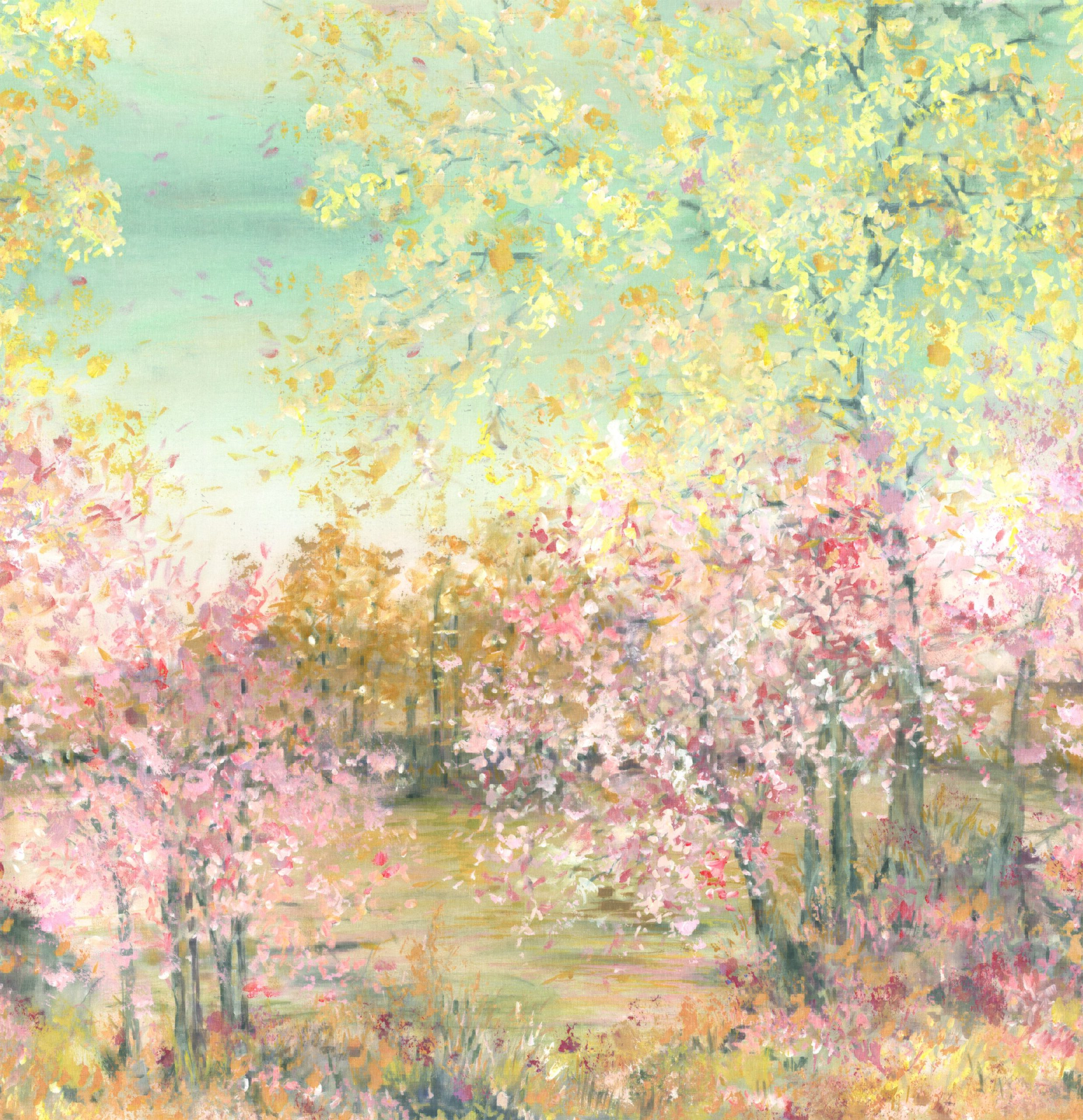 Rose blush Rose blush