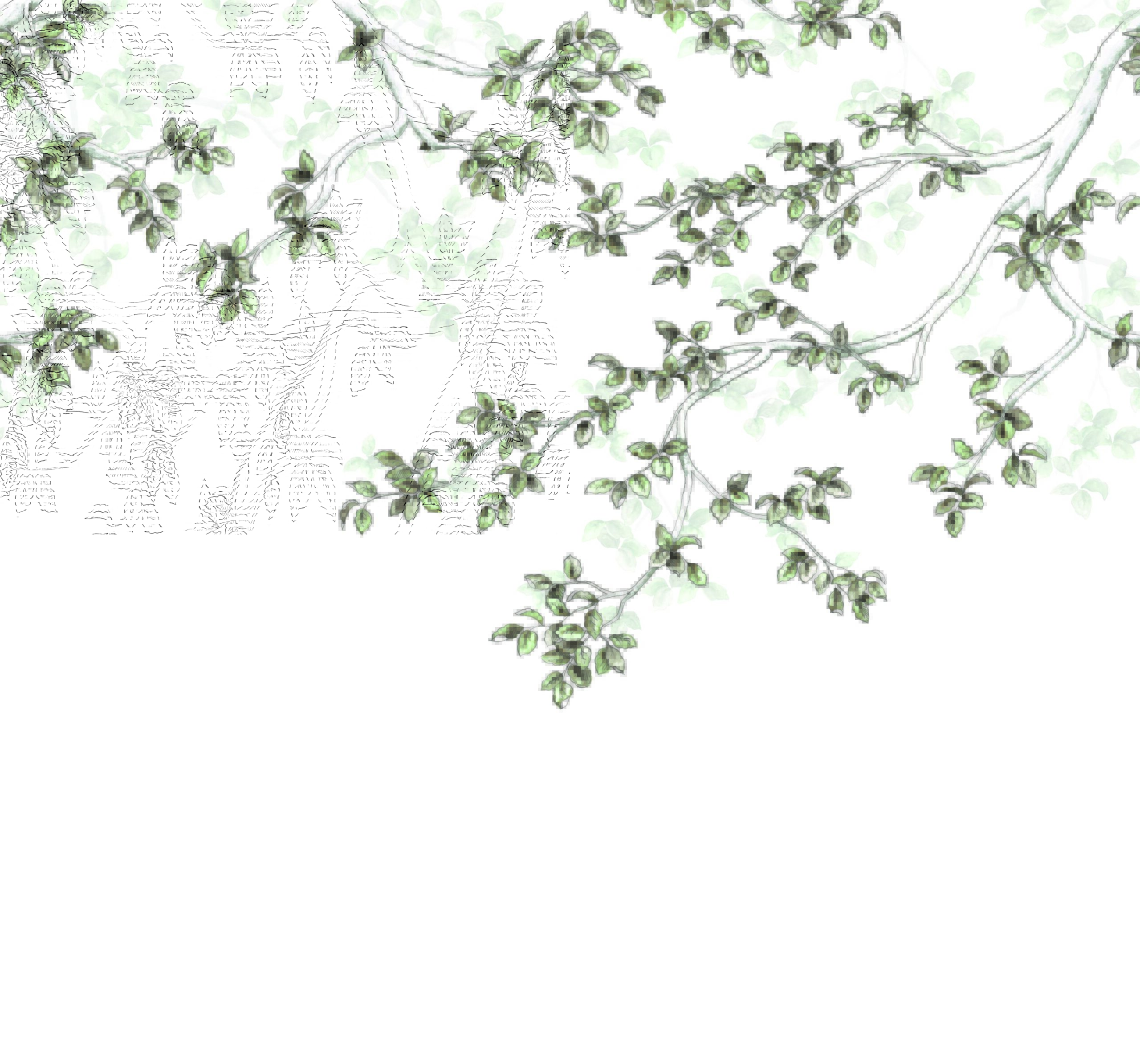 Vert lichen Vert lichen