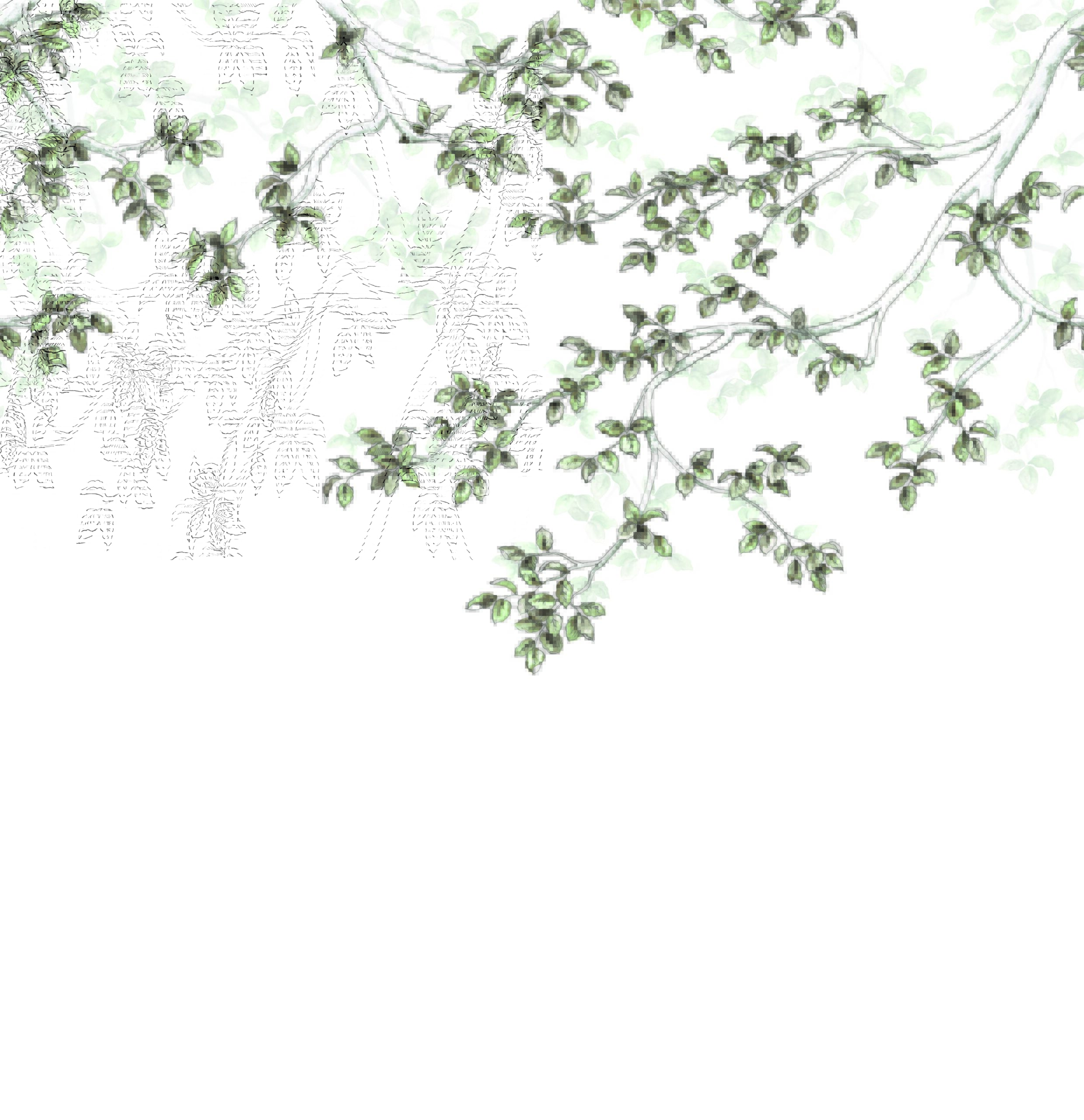 Vert lichen Vert lichen