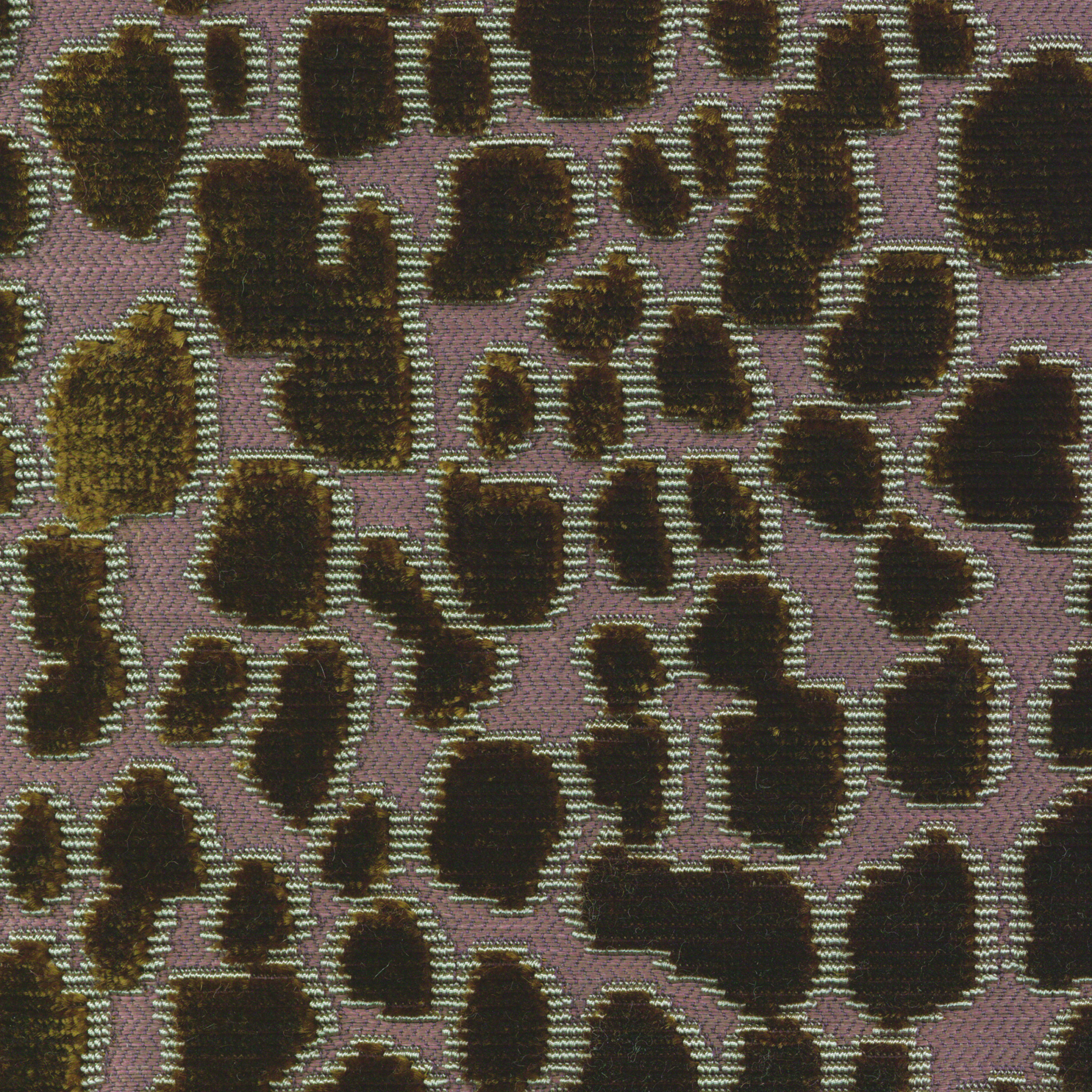 Vert olive Vert olive