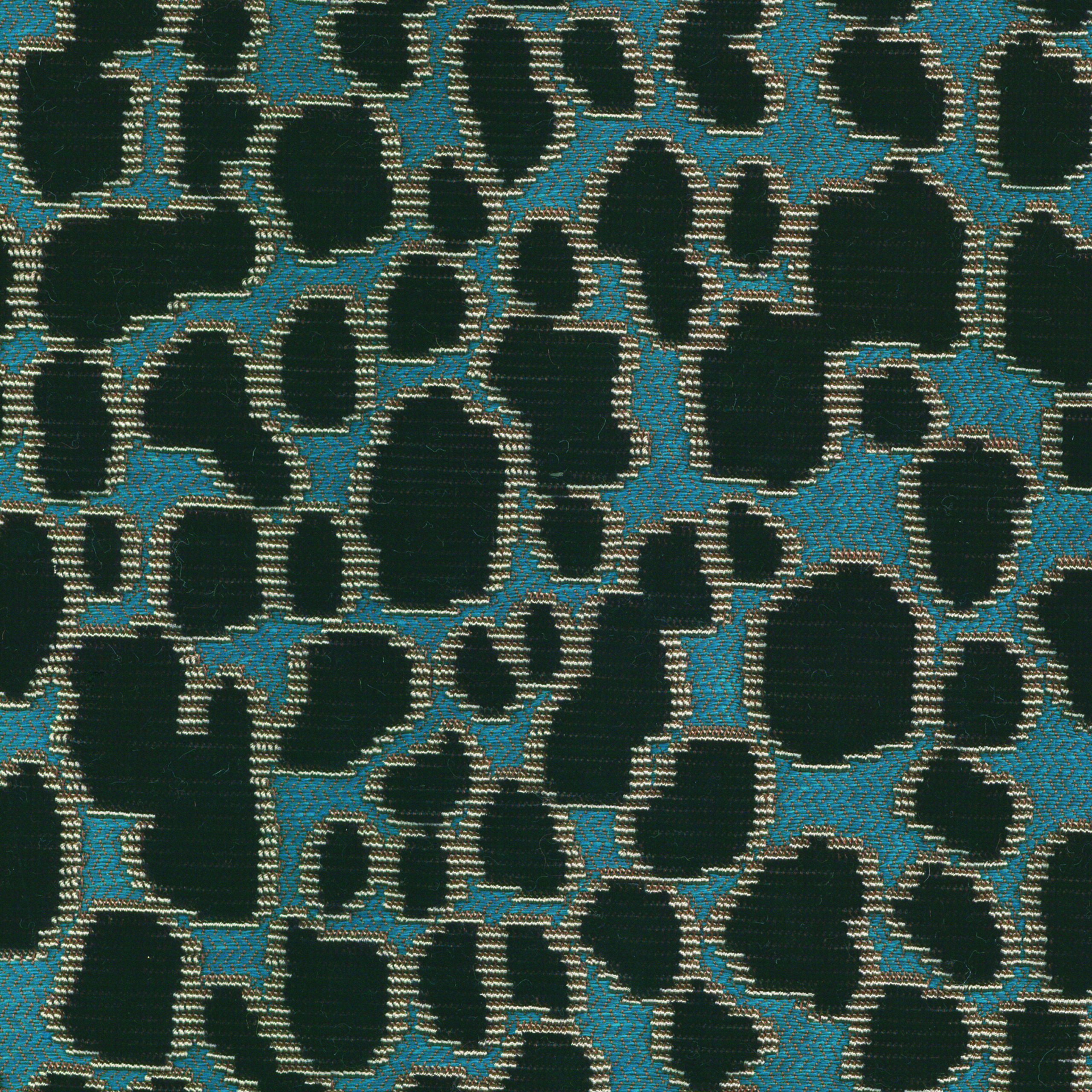 Bleu misia Bleu misia