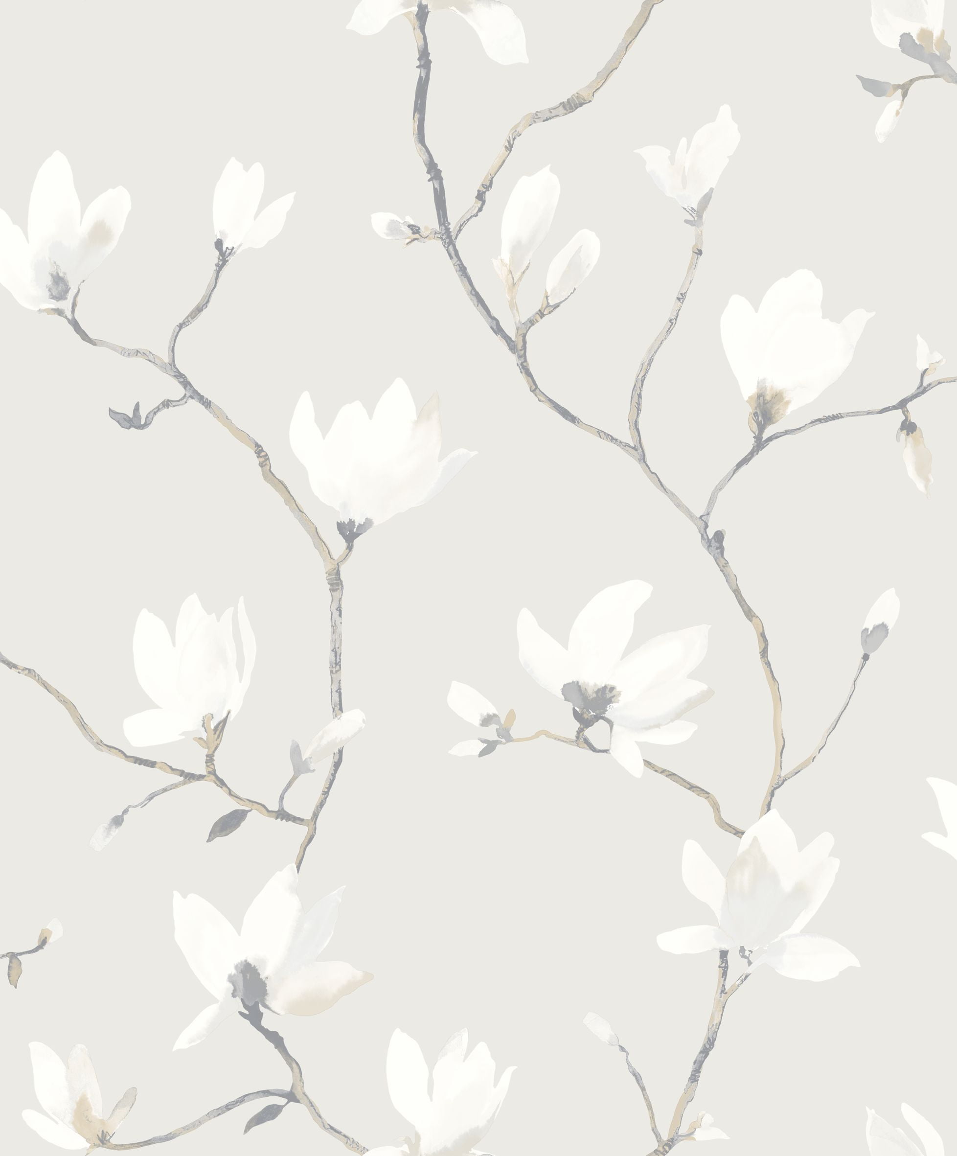 Blanc coton Blanc coton