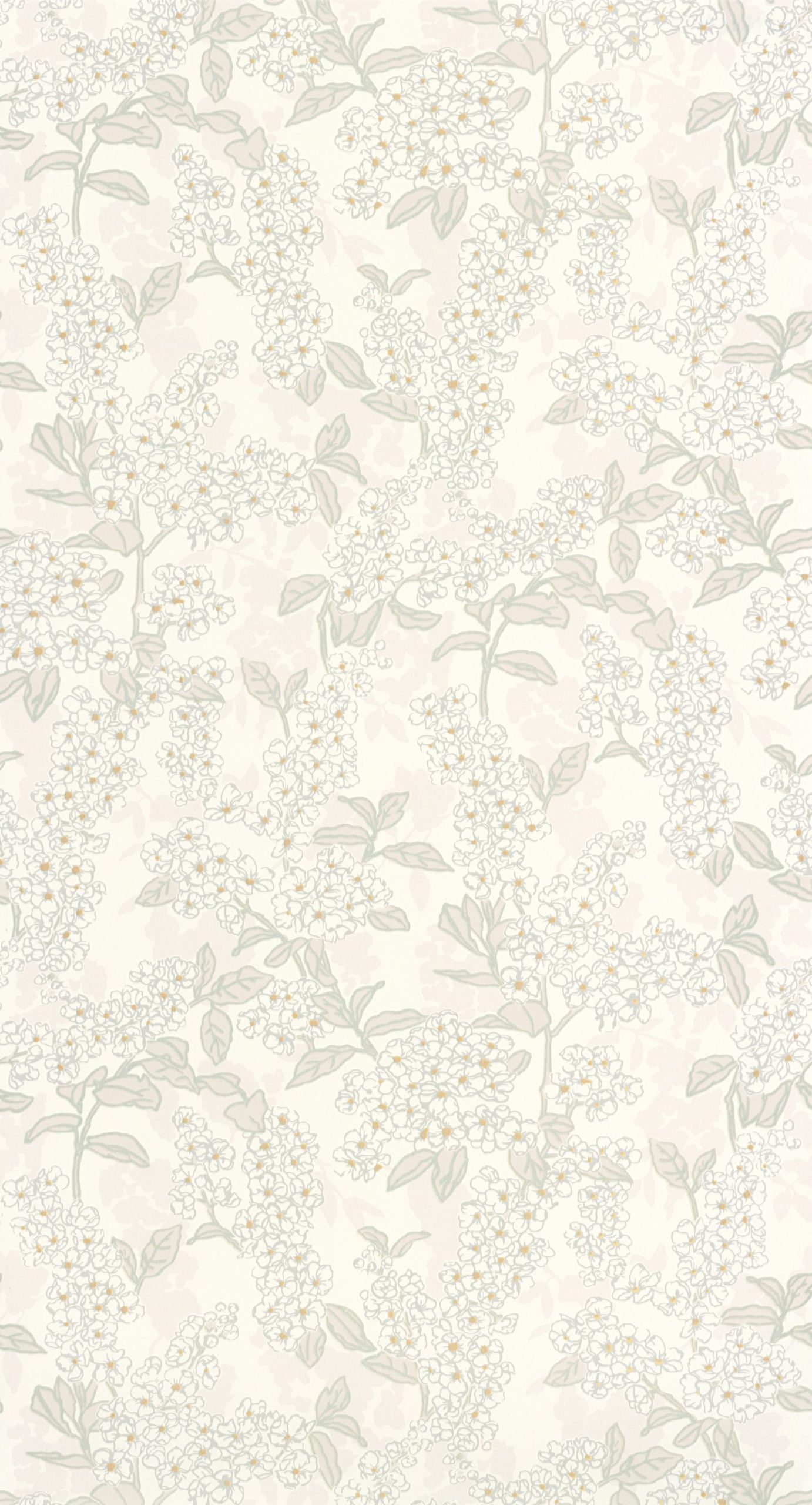 Blanc coton Blanc coton