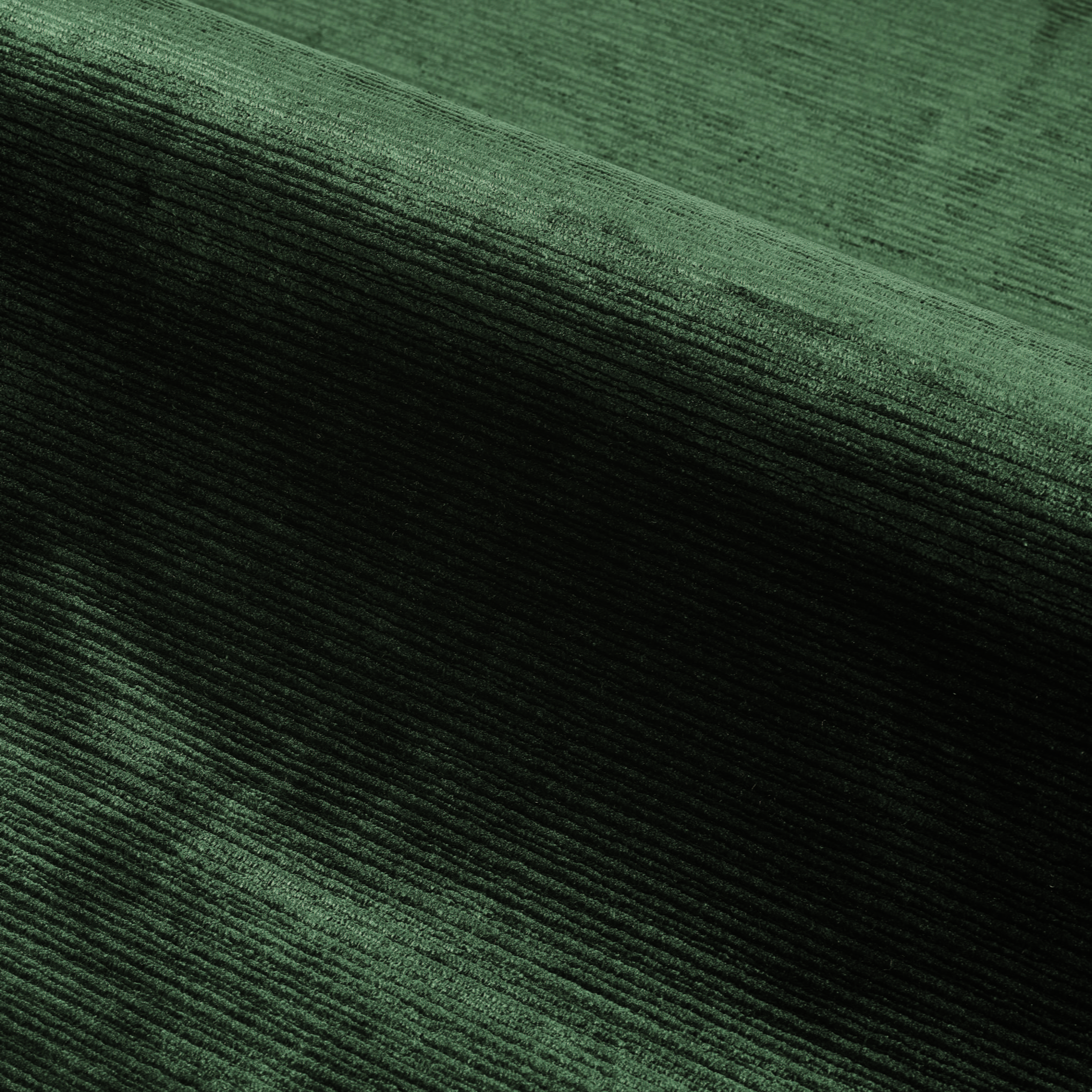 Gris de maure Gris de maure